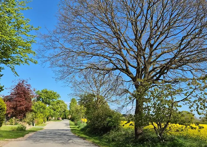 Grosser Stern 公寓 *