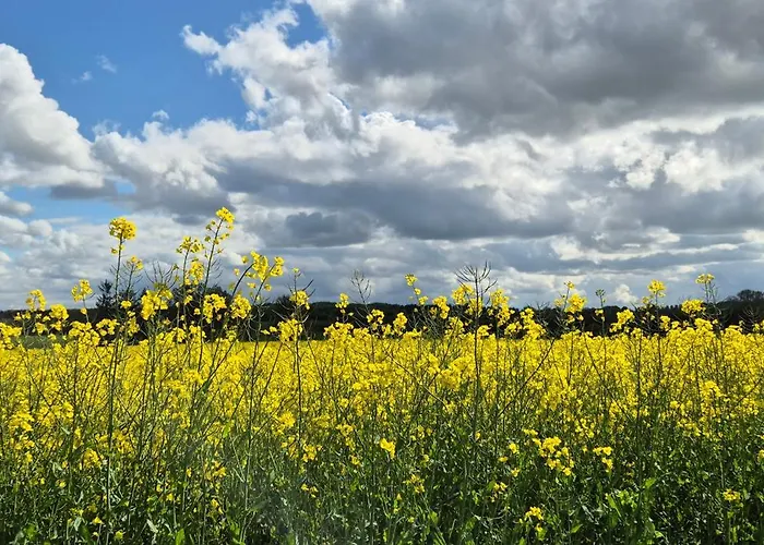 Grosser Stern 斯托特布尔